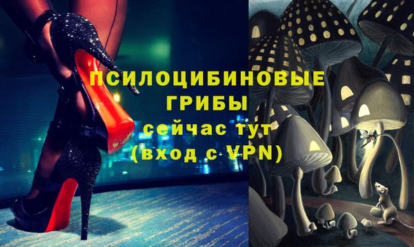 дживик Алзамай