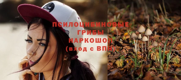 гидропоника Абдулино