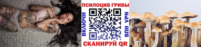 гидра сайт  Нестеровская  Галлюциногенные грибы MAGIC MUSHROOMS 